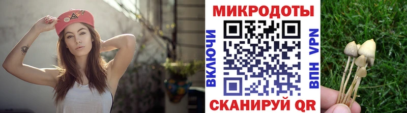 продажа наркотиков  Белгород  Галлюциногенные грибы Magic Shrooms 