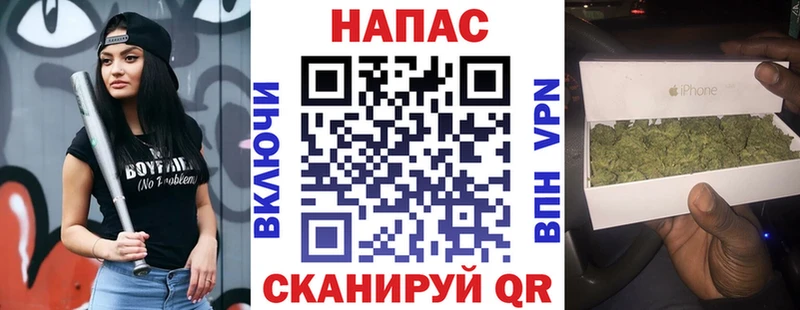 купить наркотики цена  OMG ТОР  Бошки марихуана SATIVA & INDICA  Белгород 